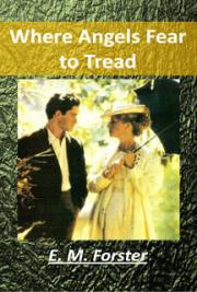 Where Angels Fear to Tread