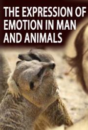 The Expression of Emotion in Man and Animals