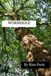 Wormhole