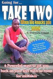 Take Two  by Brian Otachi Nyakundi — book cover