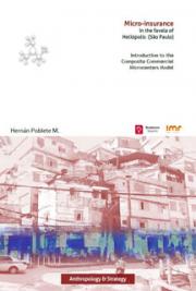 Introduction to the  Composite Commercial  Microcenters Model