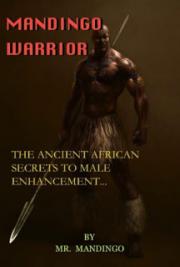 Mandingo Warrior Course