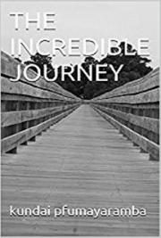 The Incredible Journey
