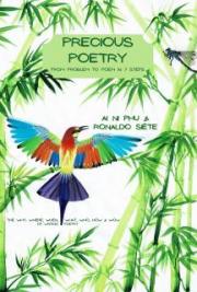 Precious Poetry - From PROBLEM to POEM in 7 steps