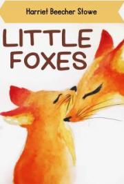 Little Foxes