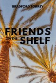 Friends on the Shelf