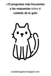 +15 preguntas m&aacute;s frecuentes y las respuestas sobre el cuidado de tu gato