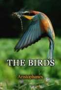 The Birds