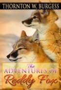 The Adventures of Reddy Fox