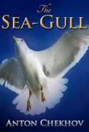 The Sea-Gull