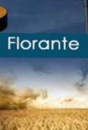 Florante