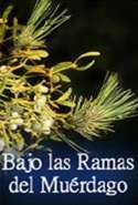 Bajo las Ramas del Muérdago