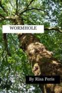 Wormhole