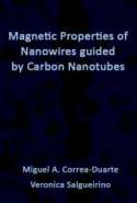 Magnetic Properties of Nanowires Guided by Carbon Nanotubes