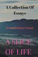 A Slice of Life: A Collection of Essays