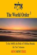 The World Order - The 144000