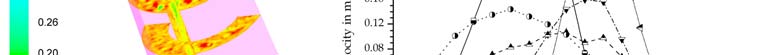index-126_9.jpg