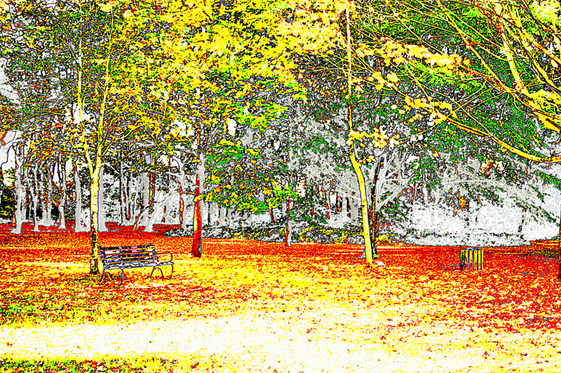 A dog sitting on a couch.
