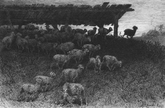 Figure (graphics12.jpg)