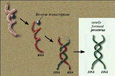 Figure (graphics7.jpg)