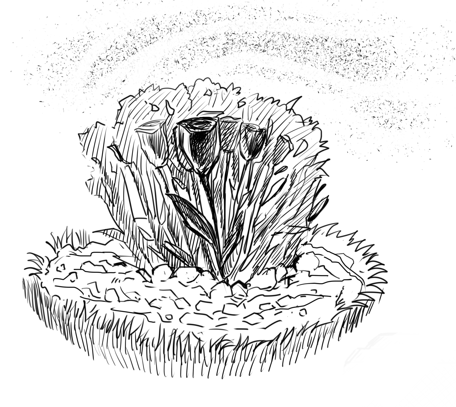 img15.jpg