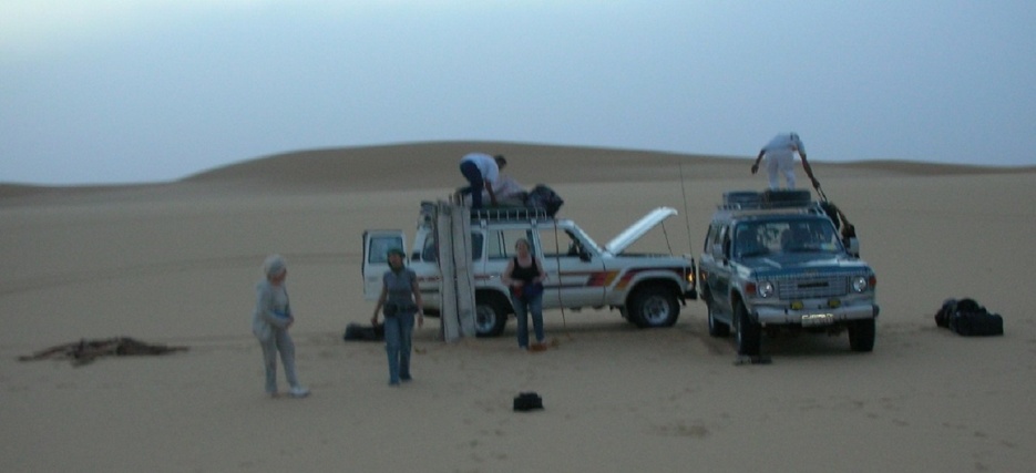 img11.jpg