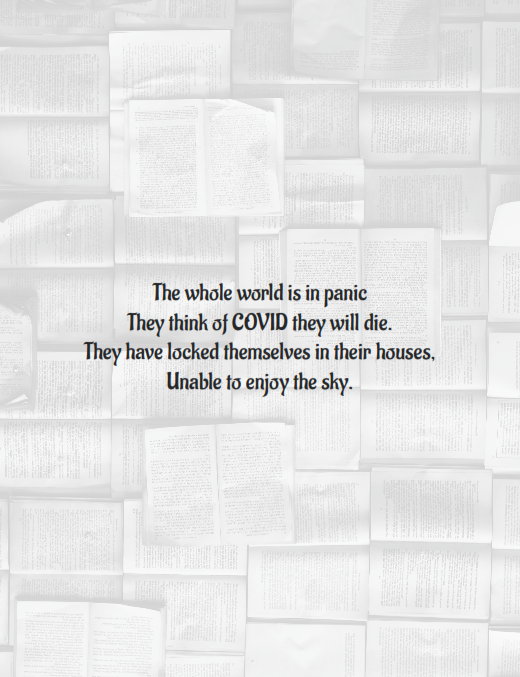 img24.png