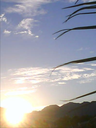 'Susan sat up in her bed, Yawning