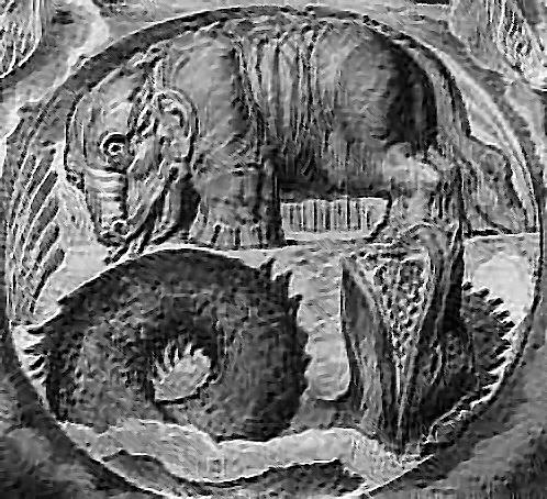 Image 20